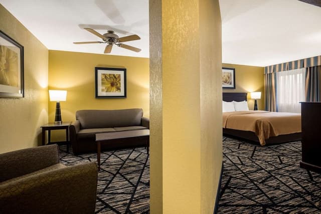 Standard Room, 1 King Bed with Sofa bed, Non Smoking