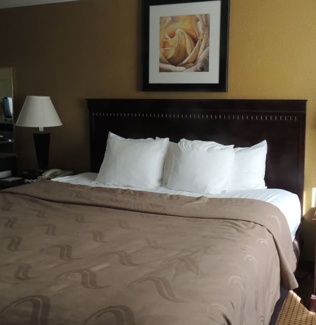 Standard Room, 2 Double Beds, Non Smoking