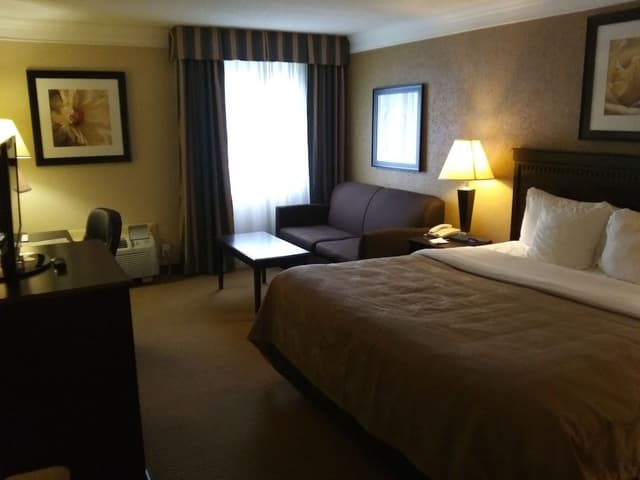 Standard Room, 1 King Bed with Sofa bed, Non Smoking