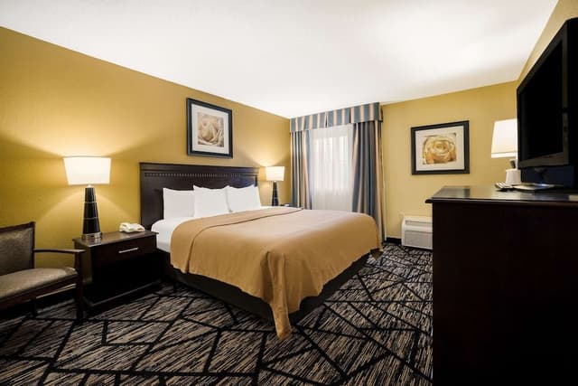 Standard Room, 1 King Bed with Sofa bed, Non Smoking