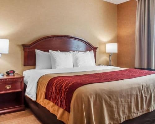 1 King Bed, Nonsmoking, Accessible