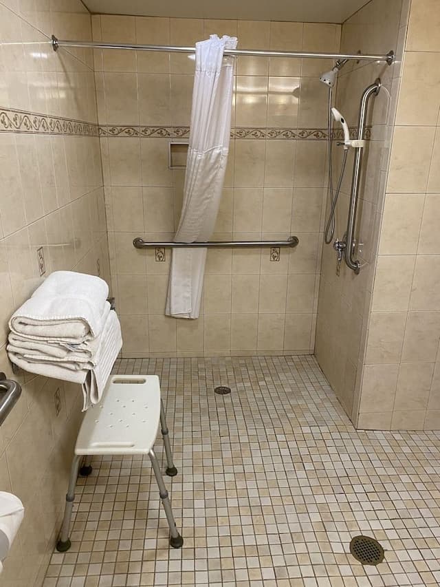 Room, 1 King Bed, Accessible, Non Smoking