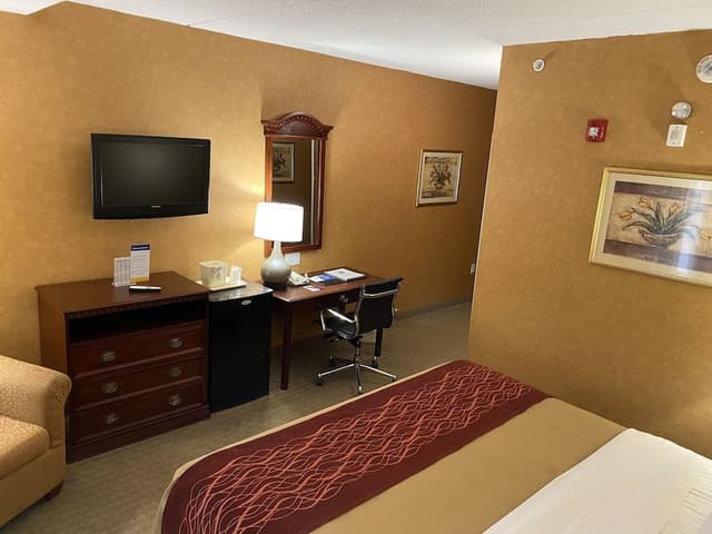 Room, 1 King Bed, Accessible, Non Smoking