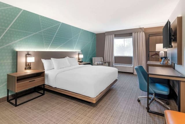 Suite, 1 King Bed with Sofa bed, Accessible, Non Smoking