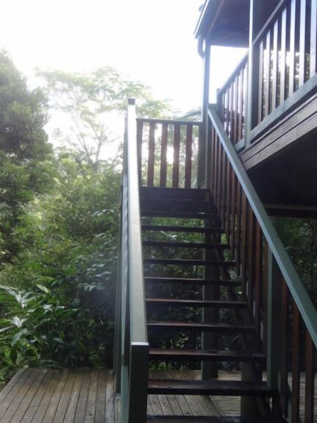 The Pole Place: Surrounded By Rainforest