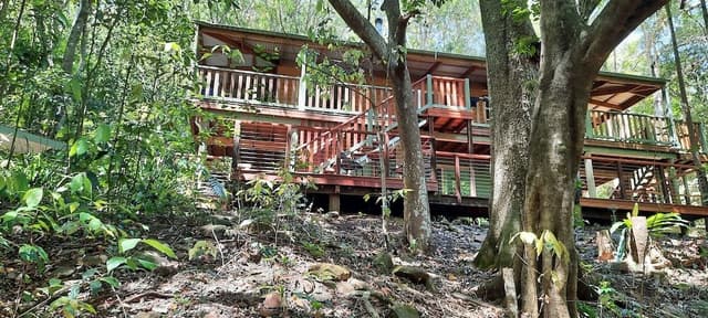 The Pole Place: Surrounded By Rainforest