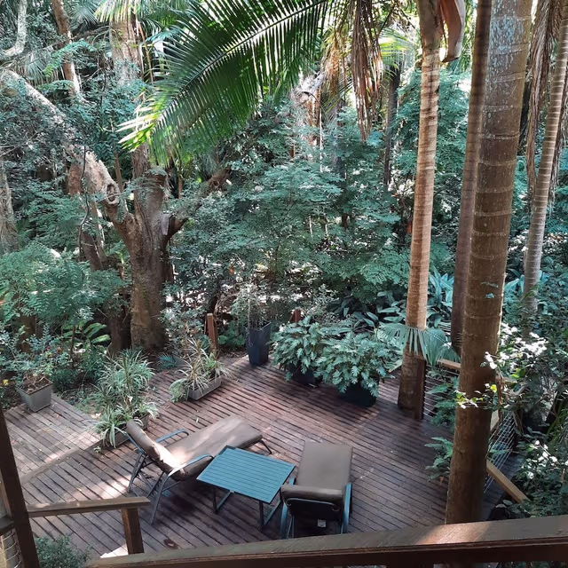 Dreamtime: Rainforest Treehouse
