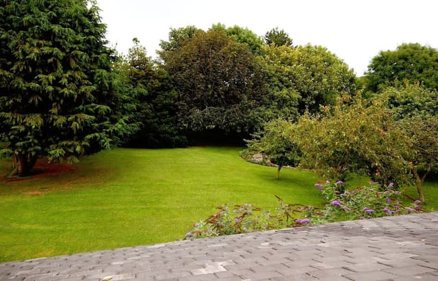 Premier Double Room, 1 Queen Bed (N6)