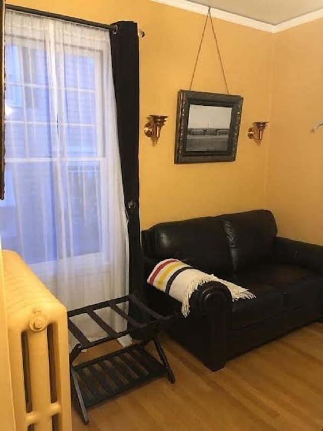Room, 1 King Bed