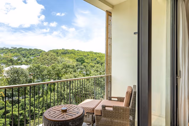 Deluxe Room, Hill View