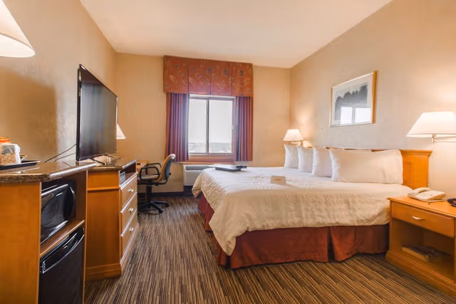 Standard Room, 1 King Bed