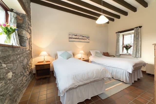 Cottage, 2 Bedrooms (Plas Helyg)