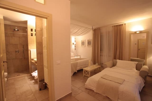 Deluxe Room, Terrace