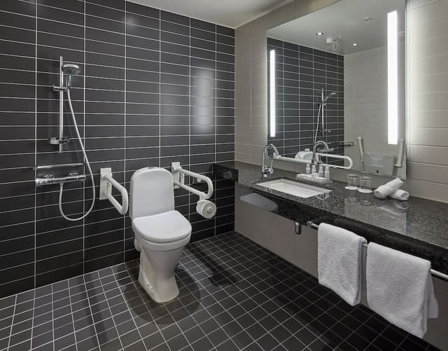 Standard Room, 1 King Bed, Accessible