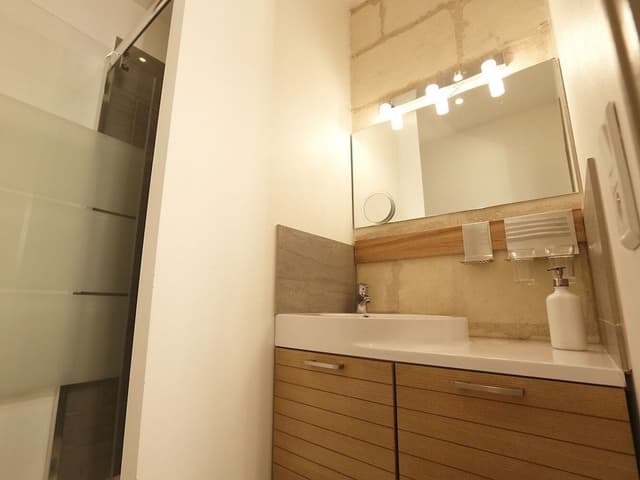Comfort Apartment, Private Bathroom, City View (CHENONCEAU)