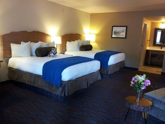 Room, 2 Queen Beds, Courtyard Area