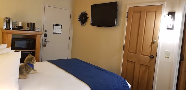 Compact Room, 1 Queen Bed, Connecting Rooms, Courtyard Area (Stair Access Only)
