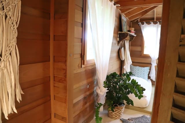 Tree House (Shere Khan)