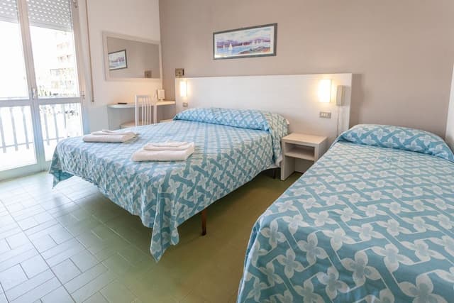 Basic Triple Room