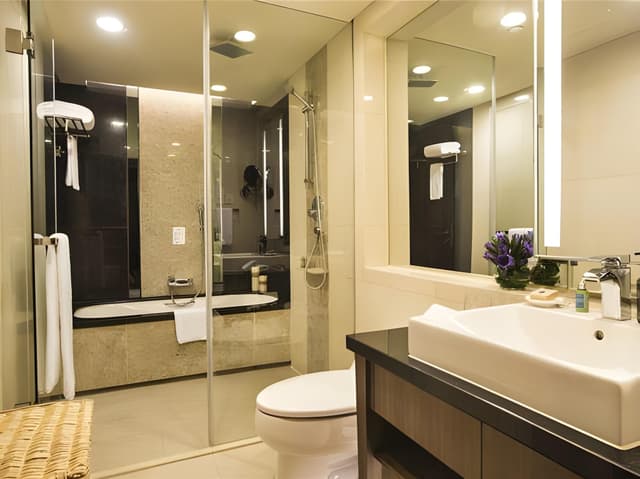 1-Bedroom Premier