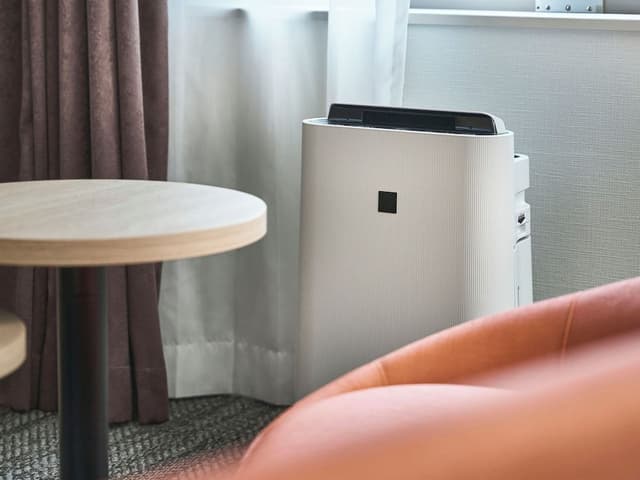 Deluxe Double Room, Smoking