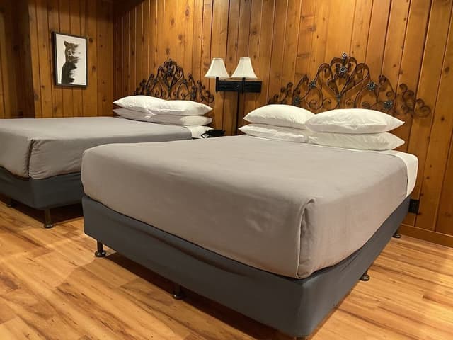 Room, 2 Queen Bed and 1 Single Bed
