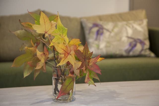 M2 – 2 bedroom apartment