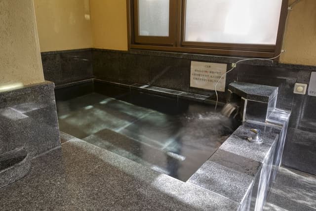Deluxe Semi Western-Style with private indoor Hot Spring(TypeC)(Check-in by 6PM/Dinner until 7:30PM)