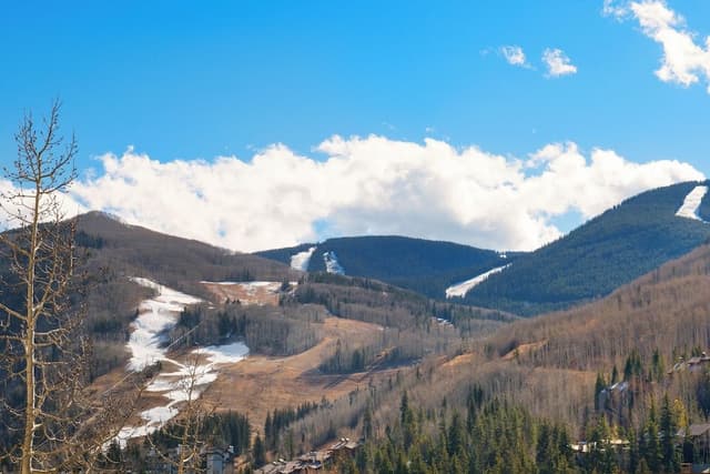 Condo, 2 Bedrooms, Kitchen, Mountain View
