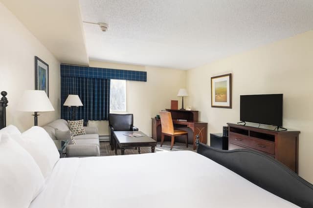 Standard Room, 1 King Bed with Sofa bed, Mountain View