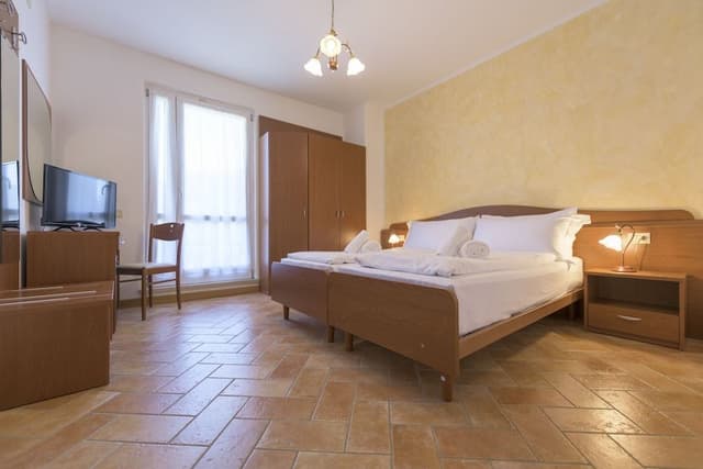 Standard Plus Double Room with twin beds