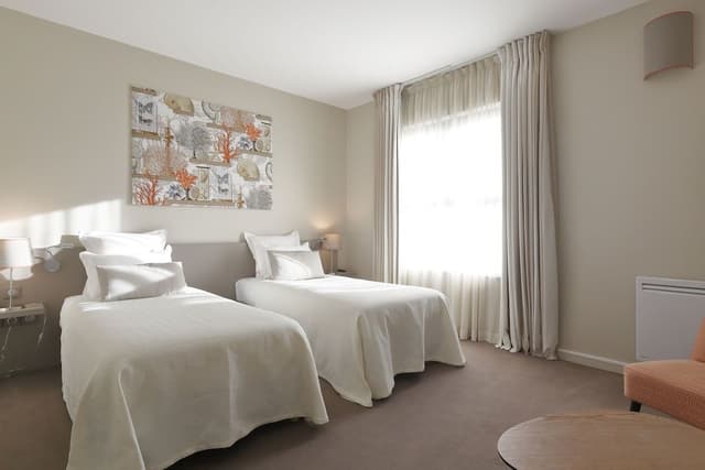 Superior Twin Room (Farmhouse View)