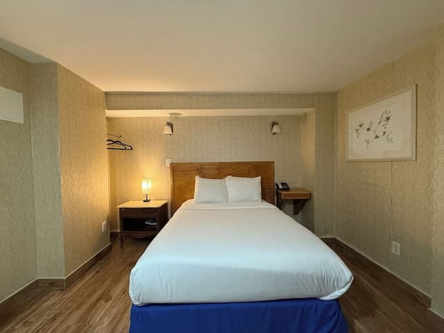 Basic Room, 1 Double Bed