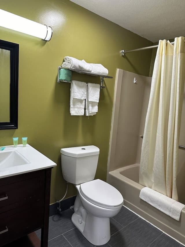 Room, 1 Queen Bed