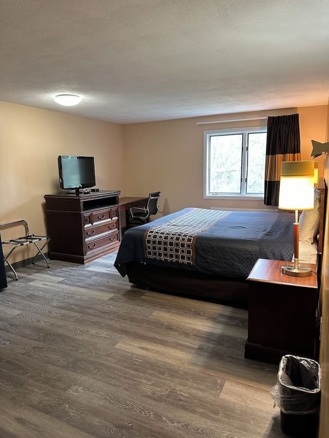 Room, 1 King Bed