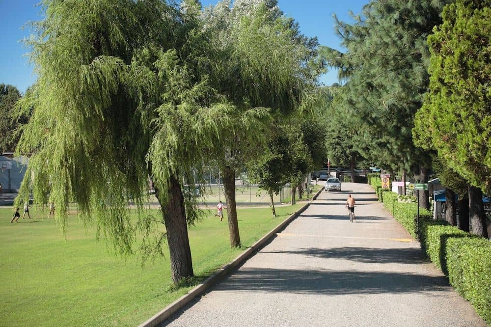 Camping Lido Verbano Camping Lido Verbano