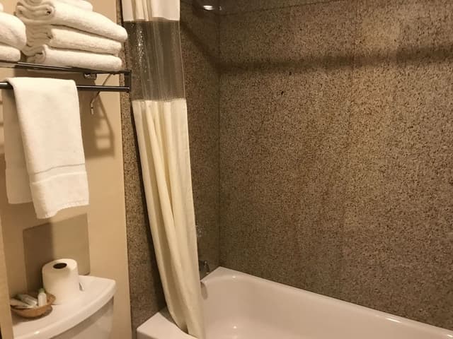 Studio, 1 King Bed, Kitchenette