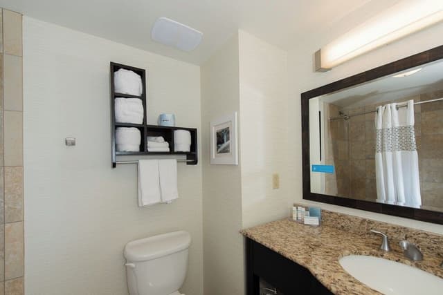 Suite, 1 King Bed, Accessible, Non Smoking (Mobility & Hearing, Roll-in Shower)