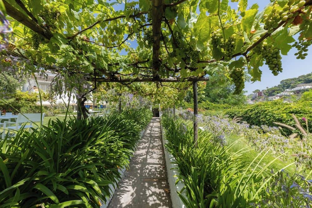Villa La Pergola Villa La Pergola