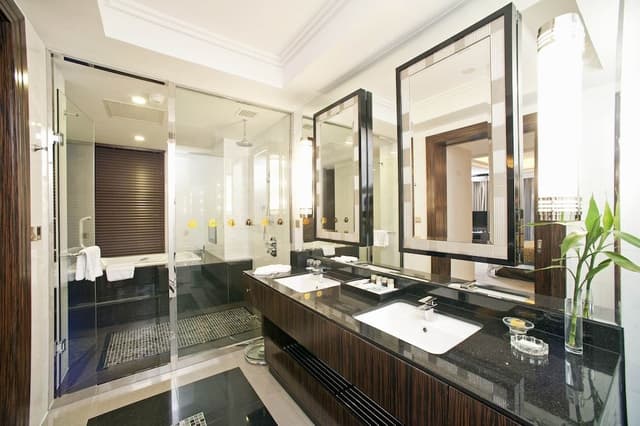 Luxury Suite