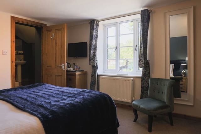 Luxury Double or Twin Room