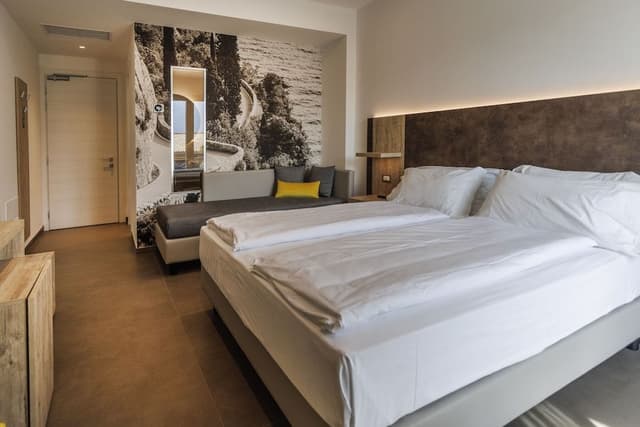 Room, 1 King Bed