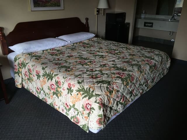 Standard Room, 1 King Bed, Non Smoking