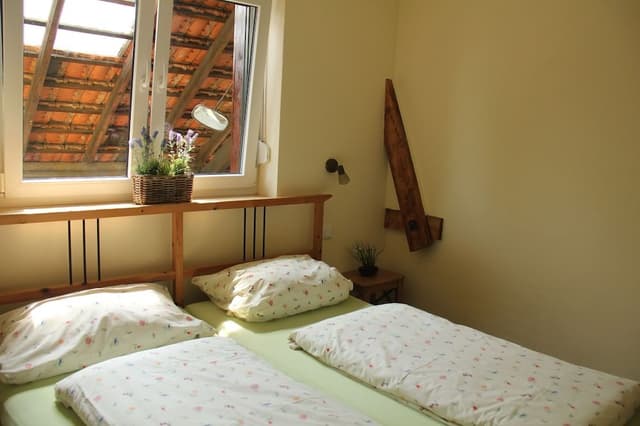 Apartment (Garten)