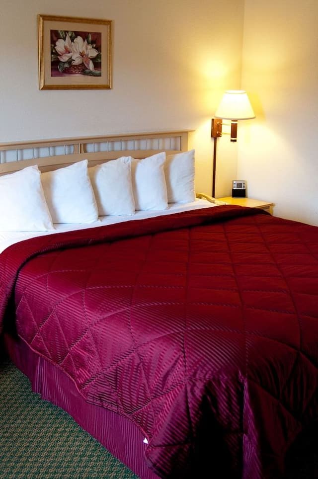 Deluxe Room, 1 King Bed, Non Smoking