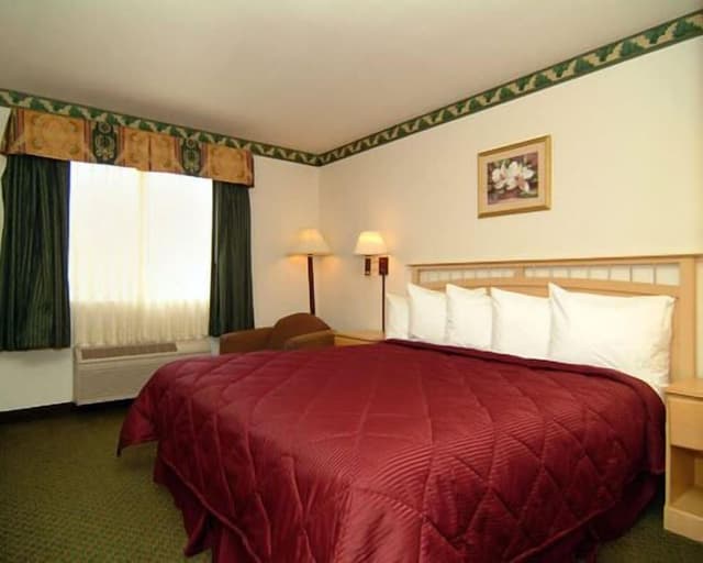 Deluxe Room, 1 King Bed, Non Smoking