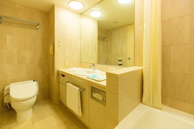 Deluxe Single Room, Non Smoking (16-27F, Authentic floor, Bed types are not guaranteed)