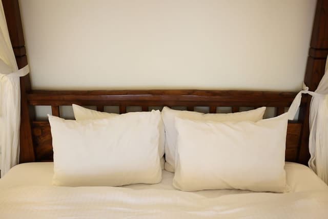 Double Room (View Hot Spring)