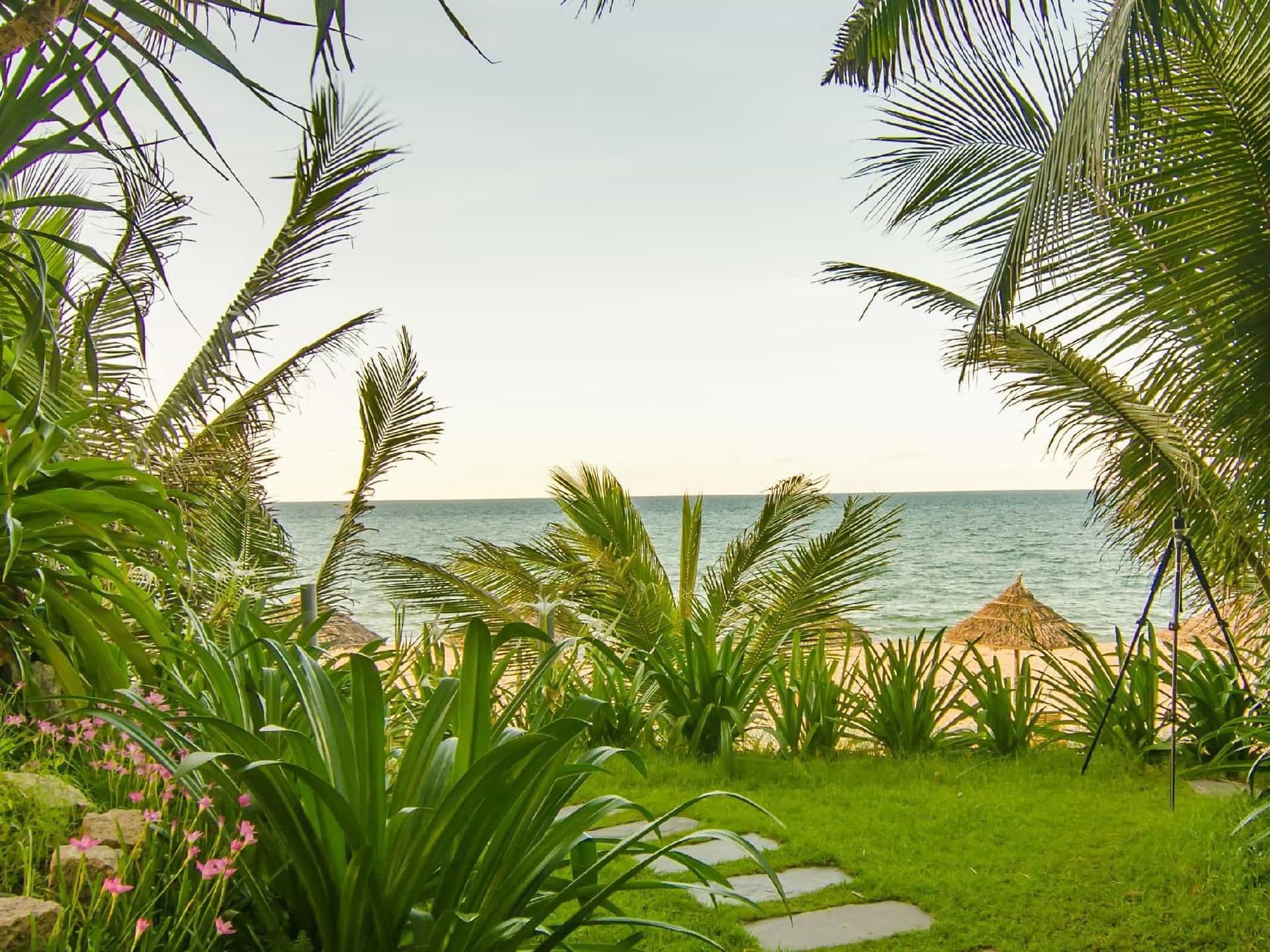 Tan Thanh Garden Homestay Tan Thanh Garden Homestay