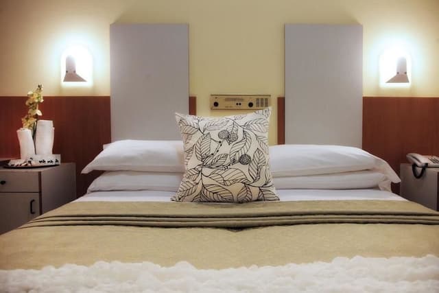Double Room Single Use